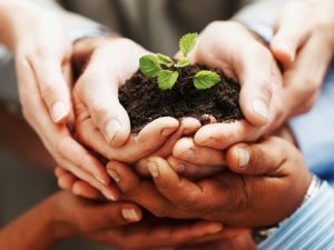 nurture_startups_sl9ut